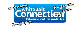 Whitebait Connection Logo 2